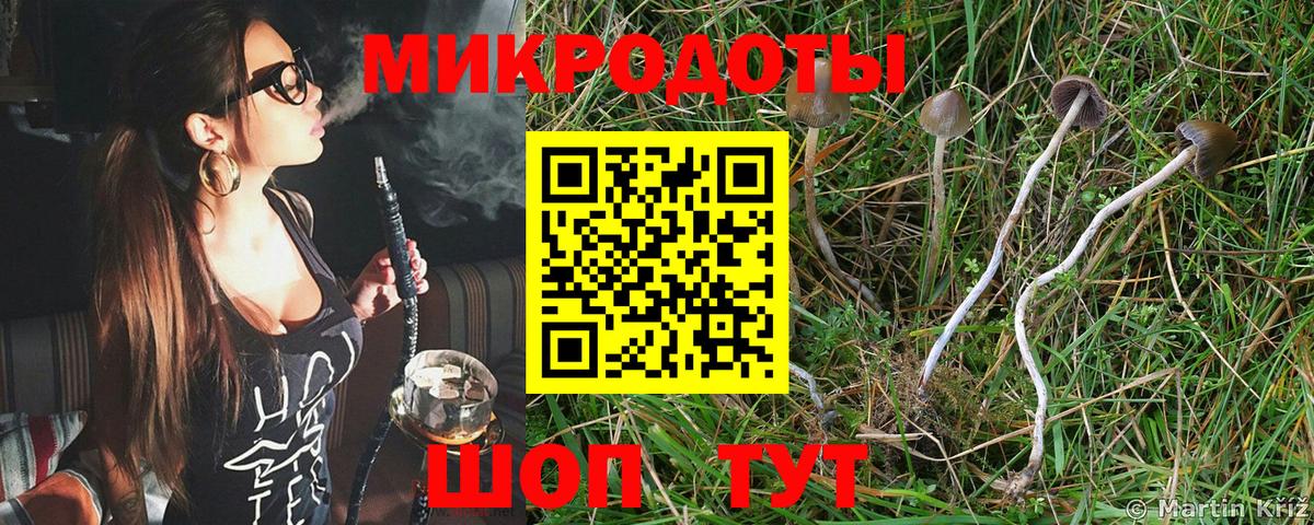 Alpha-PVP СК   Кокаин  Заволжье  Мефедрон кристаллы  АМФ кристаллы  МЕТАМФЕТАМИН  Бошки Шишки  Меф МЯУ МЯУ   Экстази 