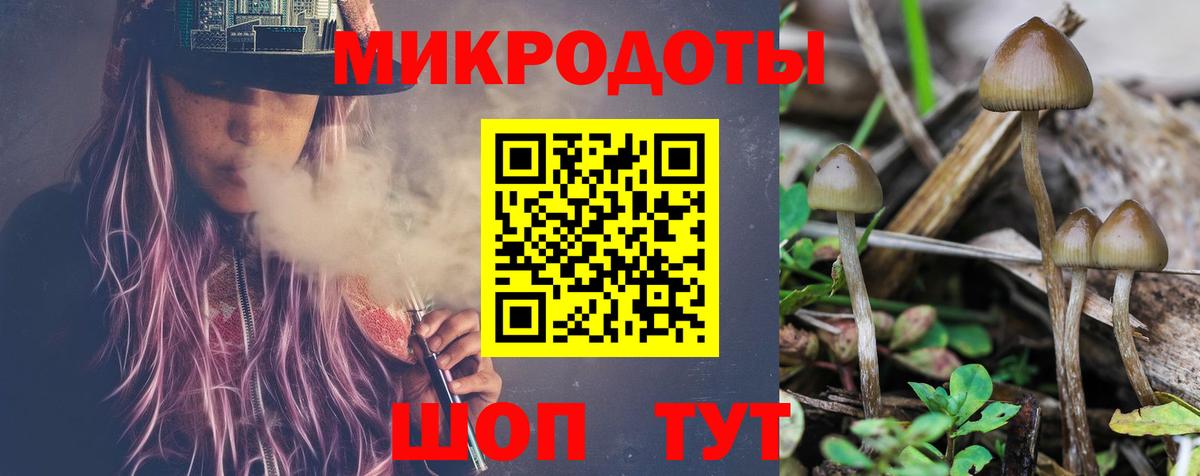 Псилоцибиновые грибы Psilocybe  Вход с VPN  Заволжье  Галлюциногенные грибы MAGIC MUSHROOMS 