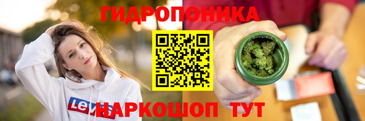 Шишки марихуана Bruce Banner  Заволжье  Канабис конопля 